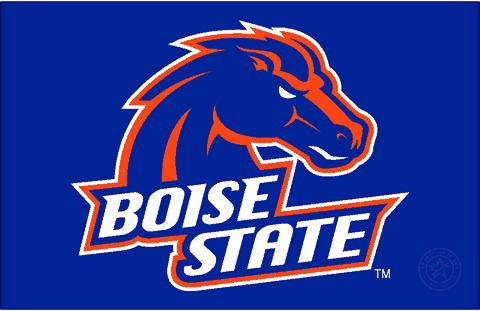 Boise State Club Hockey